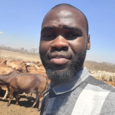 MTAALAMU WA MALISHO YA MIFUGO....   
Range Management Specialist | livestock production expert|SUA|AGREVOLT| Coordinator @GIEDTz