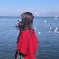 Sedondeau (@sedondeau43900) 's Twitter Profile