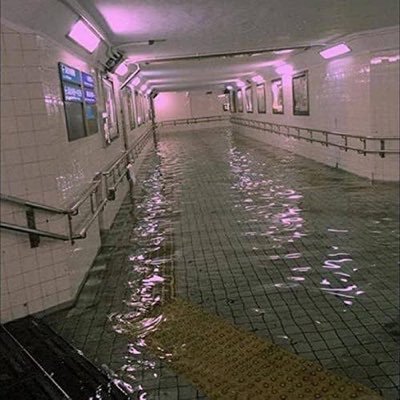 riri_luri's profile picture. 色々雑食なうぇぶ中毒者  rtいいね雑多