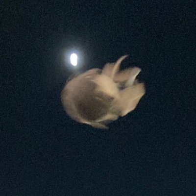 うた。さんのプロフィール画像