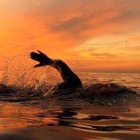 RosaMariaVS 🌻🏊♀️🌊 (@rosamarivs) 's Twitter Profile Photo RosaMariaVS 🌻🏊♀️🌊 (@rosamarivs) 's Twitter Profile Photo