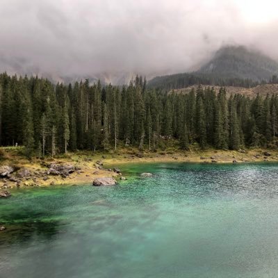 godblessyandm's profile picture. car#troll$#LRC#chabio