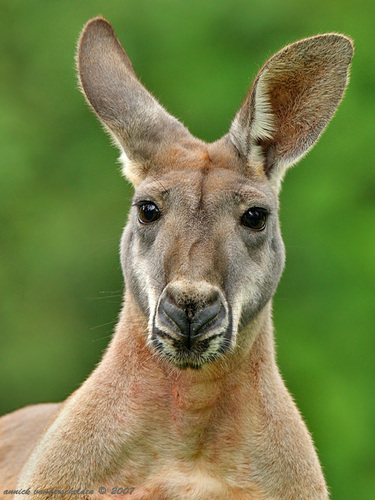 SpiritAliveDave's profile picture. Spirit Alive! Church; Jordan Financial Life Planning; Ultra and Marathon Running; Loving Life; Happy wife, priceless!