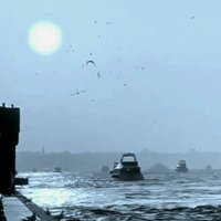 TDT NEO - 011129 . (@wajid17369) 's Twitter Profile