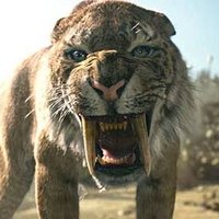 Fast_and_curious (@fast_curious1) 's Twitter Profile
