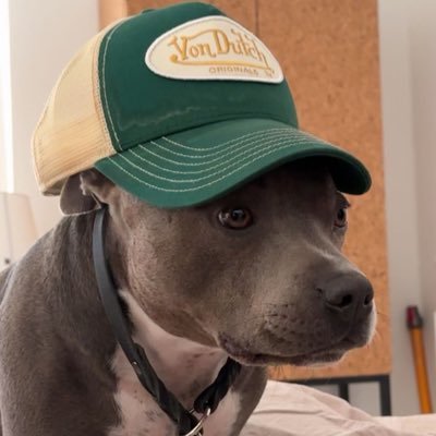 70Rob709's profile picture. 