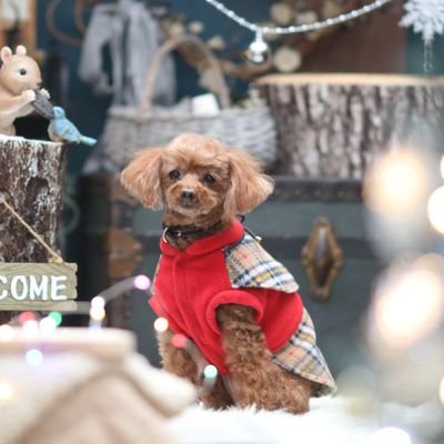 happydays0801's profile picture. 