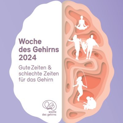 Die CNB veranstaltet die Brainweek, das Annual Meeting und viele weitere spannenden Vorträge und Veranstaltungen 🧠