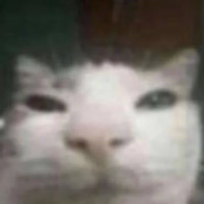 haoxiangchinai's profile picture. 🔞注意 こべにちゃんの妹でござる