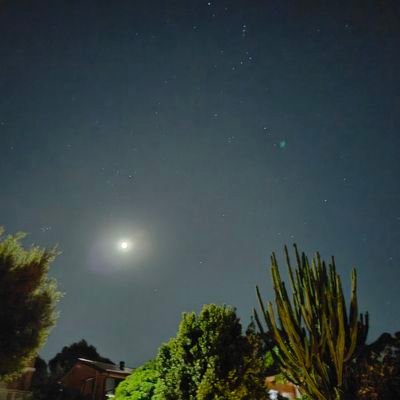 Roliotrader's profile picture. 