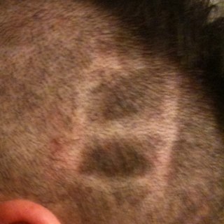 Benjamin Tschumi Profile