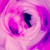 Dizzy Petals (@dizzy_petals) Twitter profile photo Dizzy Petals (@dizzy_petals) Twitter profile photo