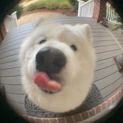 แบ่