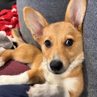 kennywood1423's profile picture. 