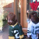 Kathy Hartmann - @Kath_H68 - Twitter