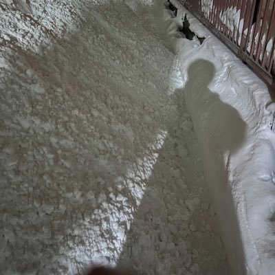 mtwimper0505's profile picture. RADWIMPS