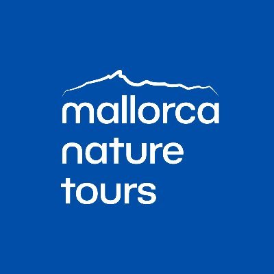 Experience the nature wonders of Mallorca!
Discover our birds, wildlife and landscapes with local experts.
info@mallorcanaturetours.com
JOIN OUR GUIDED TOURS!