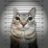 meneteap's profile image