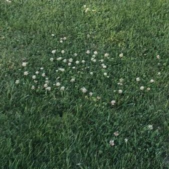 abitfirat's profile picture. 