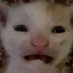 Kucing paklalet.g (Ø,G) Reddio HUDL (@kucing_63) Twitter profile photo Kucing paklalet.g (Ø,G) Reddio HUDL (@kucing_63) Twitter profile photo