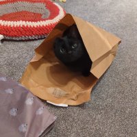 Maths Locke (out of office) (@mathsmuse) 's Twitter Profile