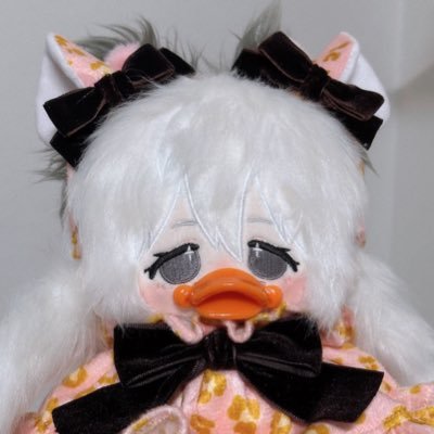 키위さんのプロフィール画像