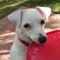Skippy Baird, (@bairdskipp55534) 's Twitter Profile