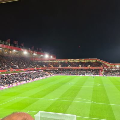 NFFCUREDS83's profile picture. Forest Forever