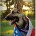 🇺🇸 SpokesTurd 🇺🇲 (@vgirl6516231) Twitter profile photo 🇺🇸 SpokesTurd 🇺🇲 (@vgirl6516231) Twitter profile photo