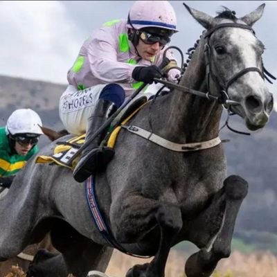 toffeetaylor4's profile picture. 