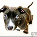 GilMeydan (@gilmeydan) Twitter profile photo GilMeydan (@gilmeydan) Twitter profile photo
