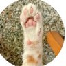MoonHODDLERR's profile picture. #Bitcoin Baby 🚀 🚀 🚀