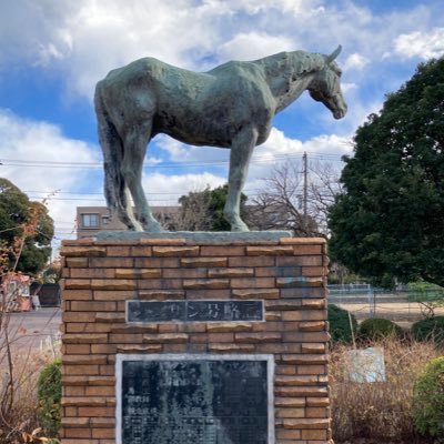 フライヤーの別垢です|名前の由来は馬の先祖の動物。呼び方は前と同じくフライヤーでどうぞ。