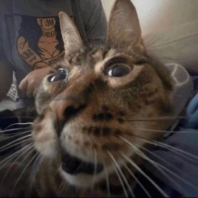 Howdy, nameās Kay, 19 and Bi (discord is Kay-Bee#3086)