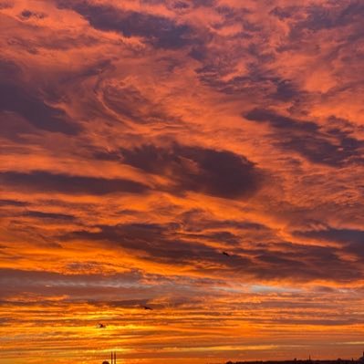 siyar098's profile picture. 