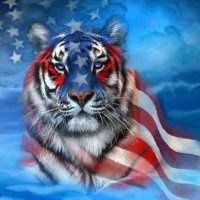 Bear31707@icloud.com(@Bear31707_USA) 's Twitter Profile Photo