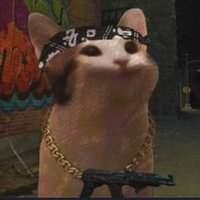 Rackelinho (@rackelinho) 's Twitter Profile Photo Rackelinho (@rackelinho) 's Twitter Profile Photo