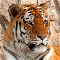 DSKDinesh kumar (@dskdineshkumar) 's Twitter Profile