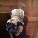 Mark Driedger - @MarkDriedger - Twitter