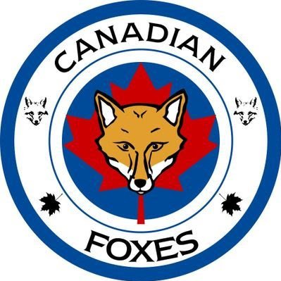 Canadian Foxes 🇨🇦🦊