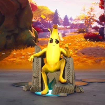 Yo jai 15 ans j’aime jouer à Fortnite je suis au Canada ici je veut avoir 1k abos j’aime jouer à Fortnite sauver le monde #Peelygang 