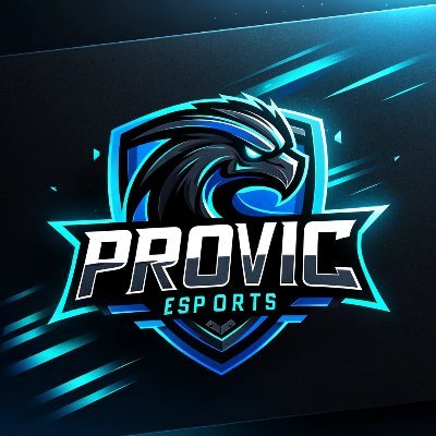 Professional Esport & Gaming Organization EST 2024 #ProvicWin

Business Inquires Inc, ProvicEsports@mail.com

Discord - https://t.co/l3RleyYiJA