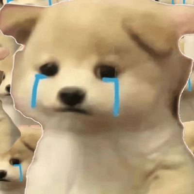 chang_zhan99230's profile picture. 