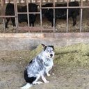 heather sherry - @HSherry5857 - Twitter