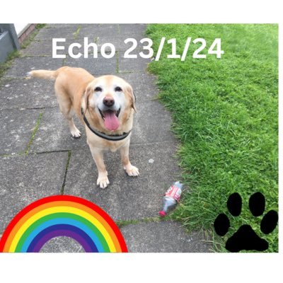 No comments on Driving anymore as people on here know a lot more than me. Allegedly. Lead holder & servant to rescue Dog Jenson. Echo 🐾🌈 23/1/24