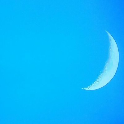 apocalyp_o's profile picture. 