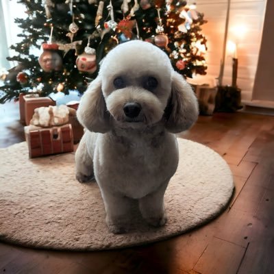 suzanne_bonnar's profile picture. 