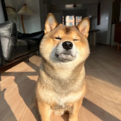 Tomorrow952700's profile picture. 