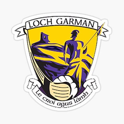 Official Wexford Camogie