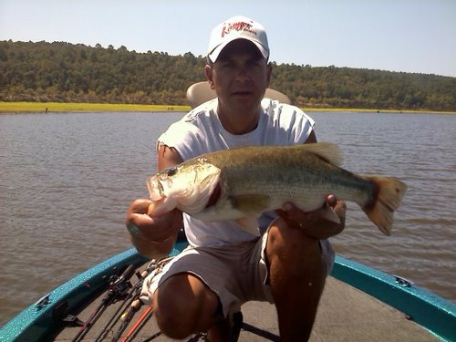 scotc40's profile picture. 